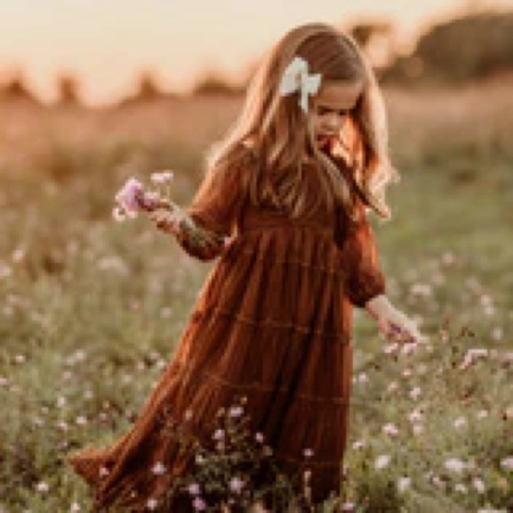 Indie Blue Pippa Chiffon Maxi in Mocha 4T